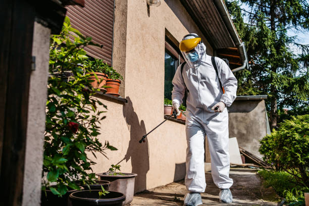 Best Affordable Pest Control Services  in Gerber, CA