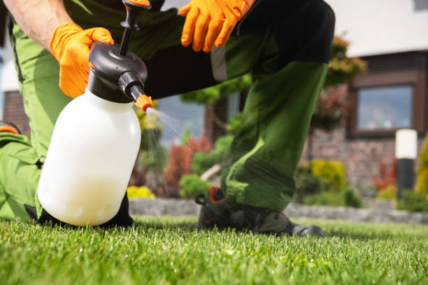 Best Pest Removal Services  in Gerber, CA