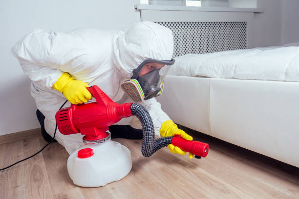 Flea Control Services in Gerber, CA