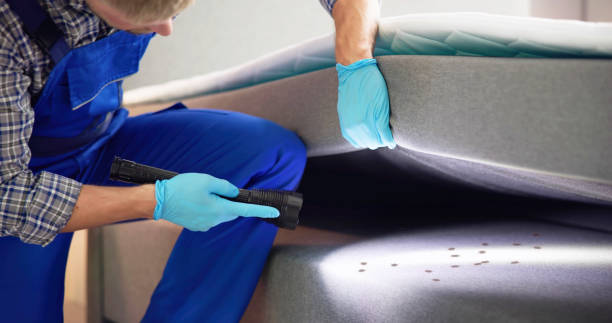 Pest Control Cost in Gerber, CA