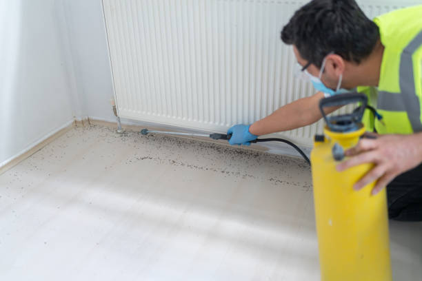 Best Flea Control Services  in Gerber, CA