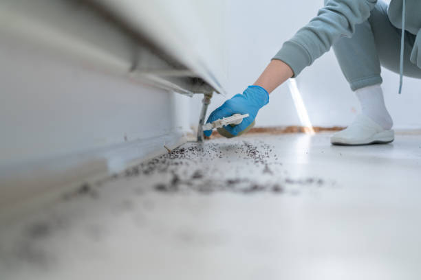Best Residential Pest Control  in Gerber, CA
