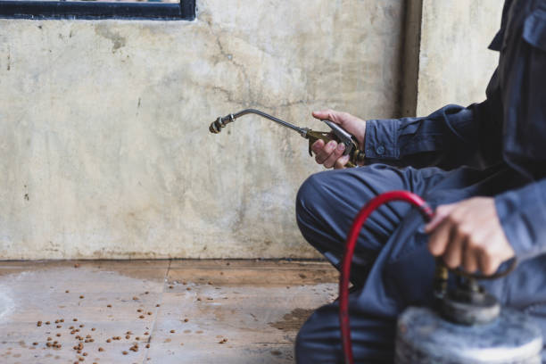 Best Emergency Pest Control  in Gerber, CA